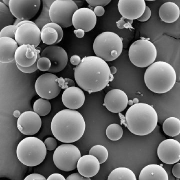 A micrograph of PLGA microspheres for drug delivery